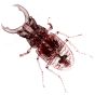 stagbeetle_416x416x247_uc.f3d