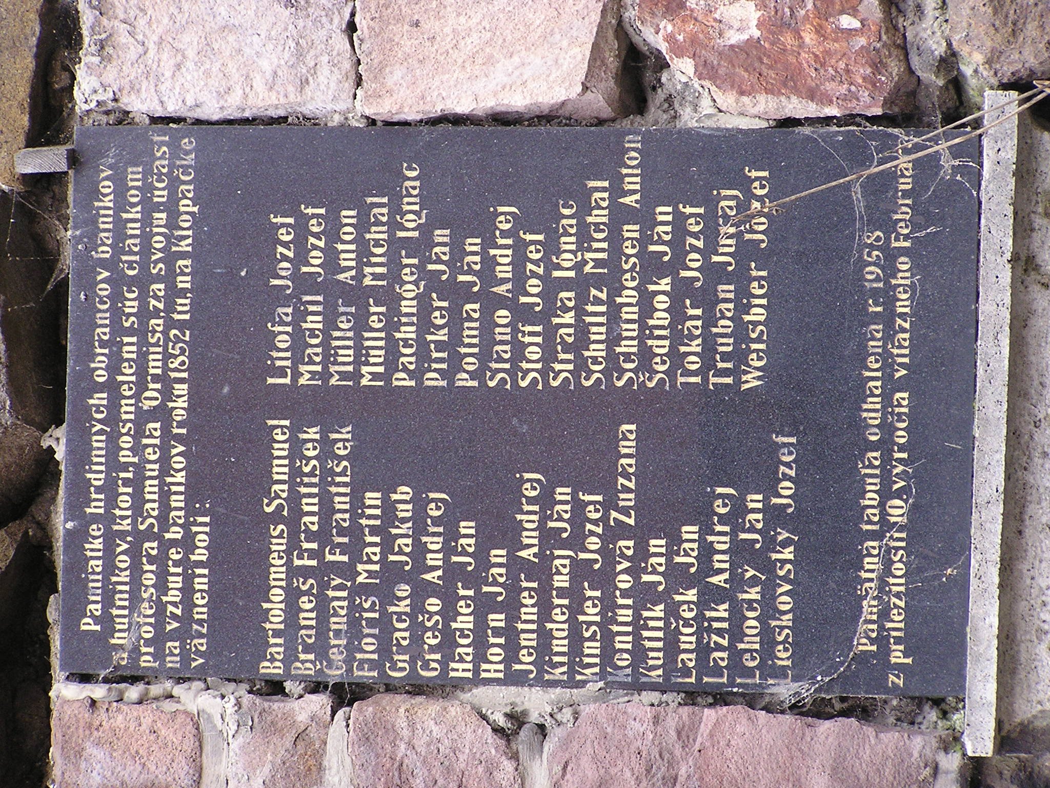 Photograph