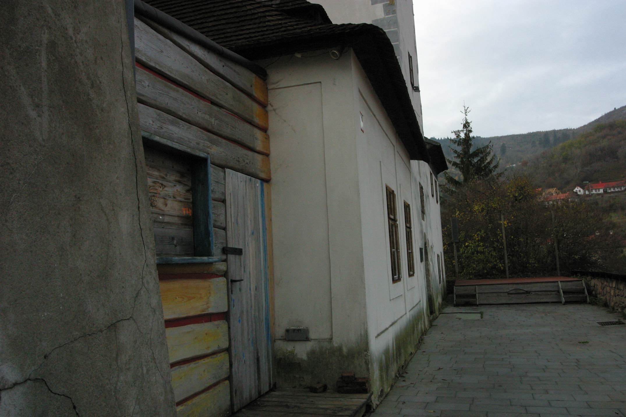 Photograph