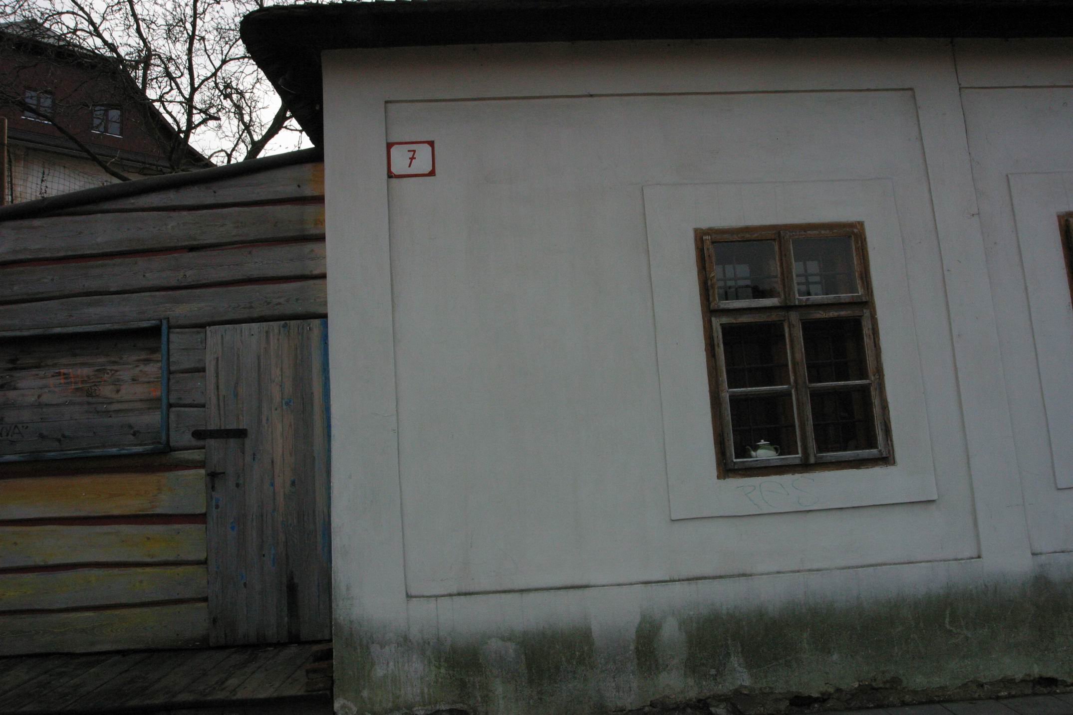 Photograph