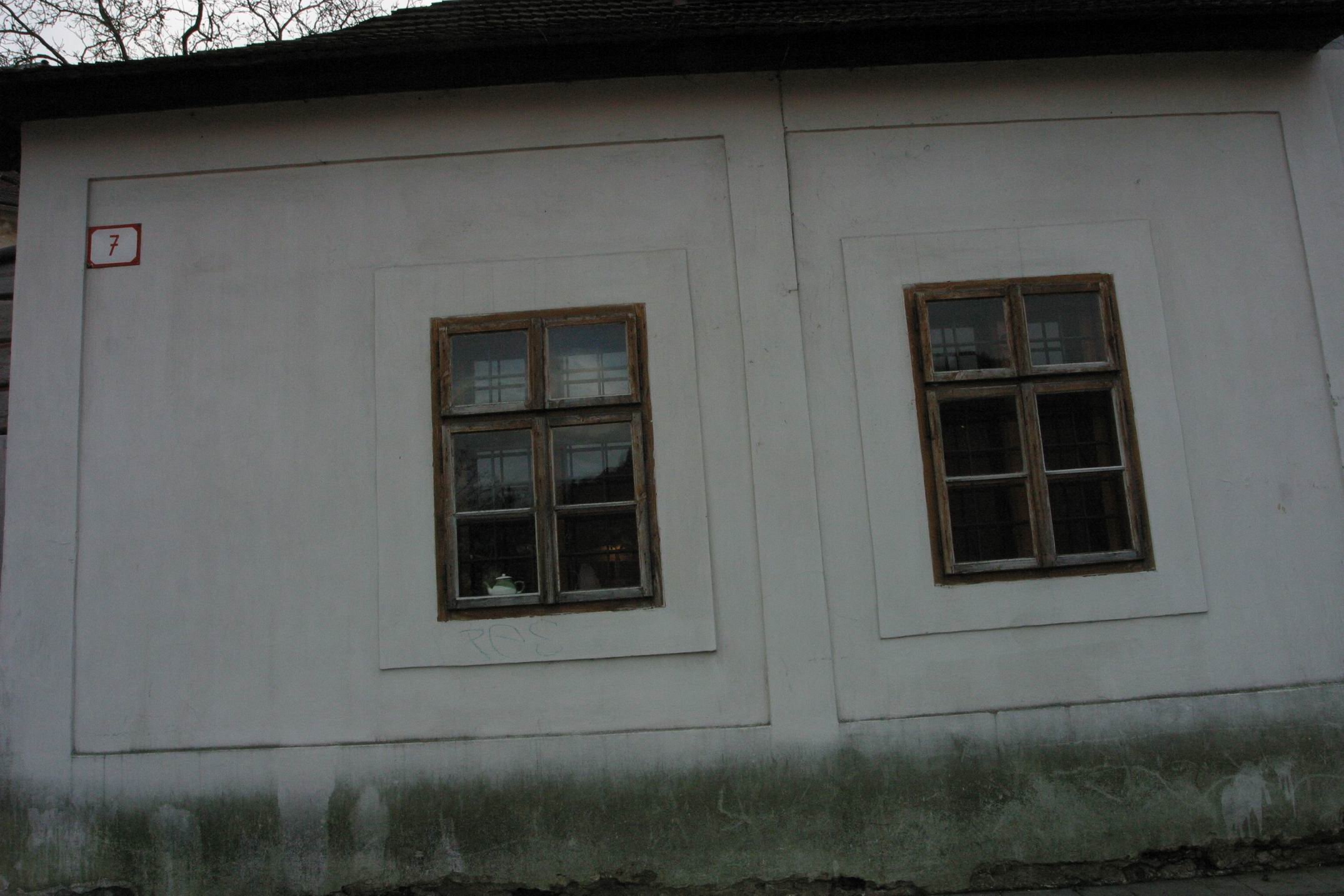 Photograph