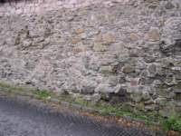 Photo Number 11