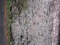 Photo Number 13