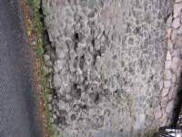 Photo Number 14