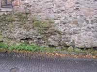 Photo Number 15