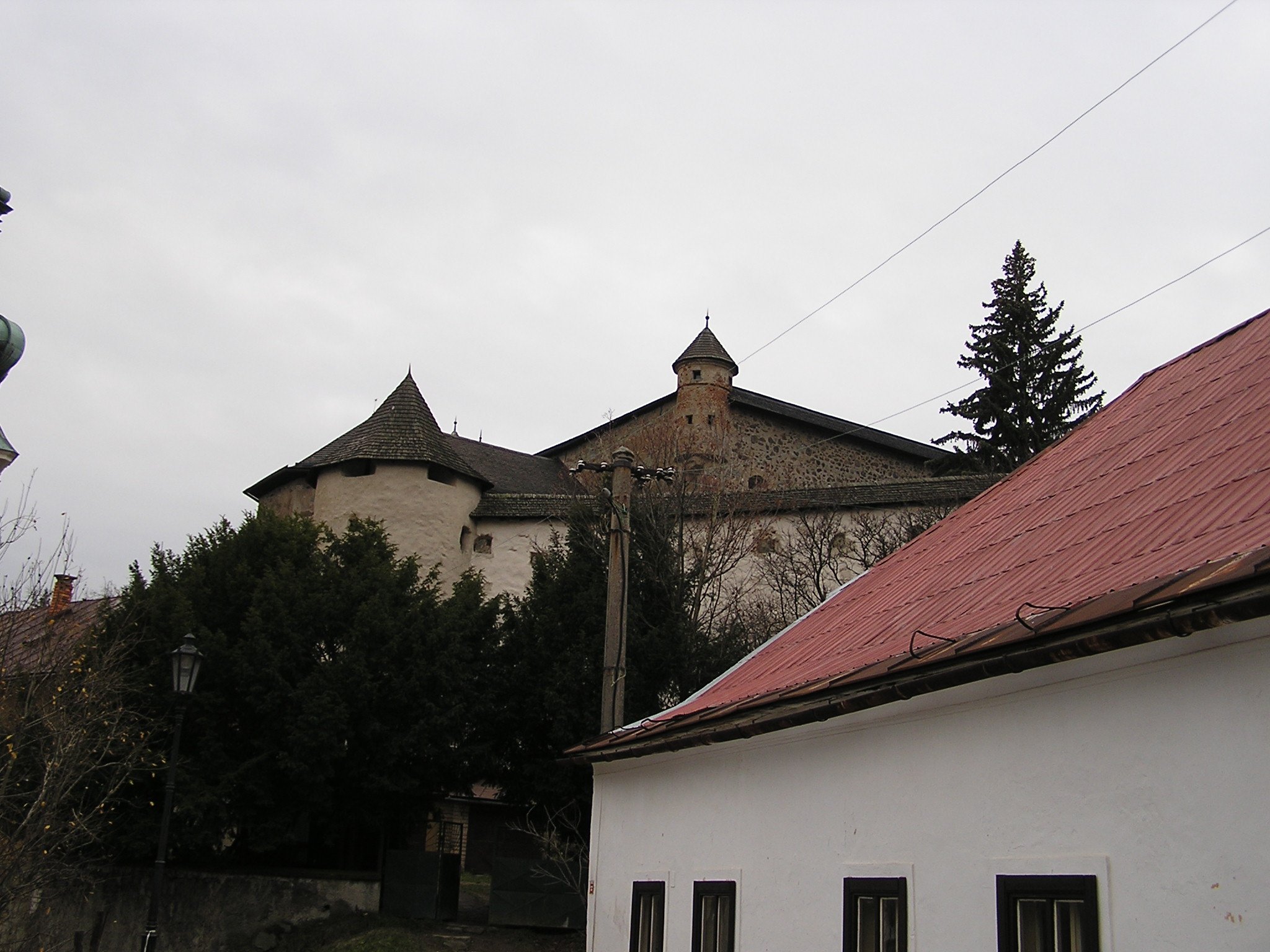 Photograph