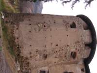 Photo Number 6