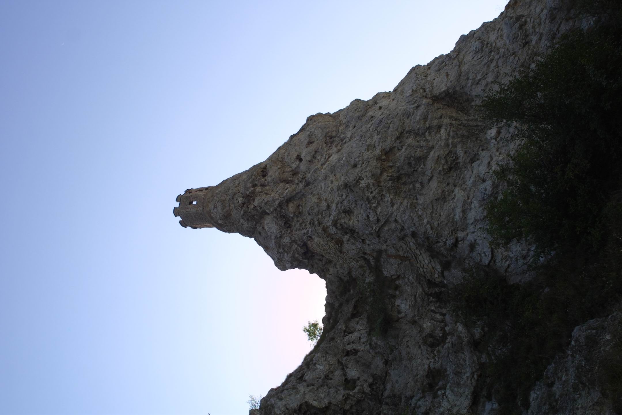 CRW_2317