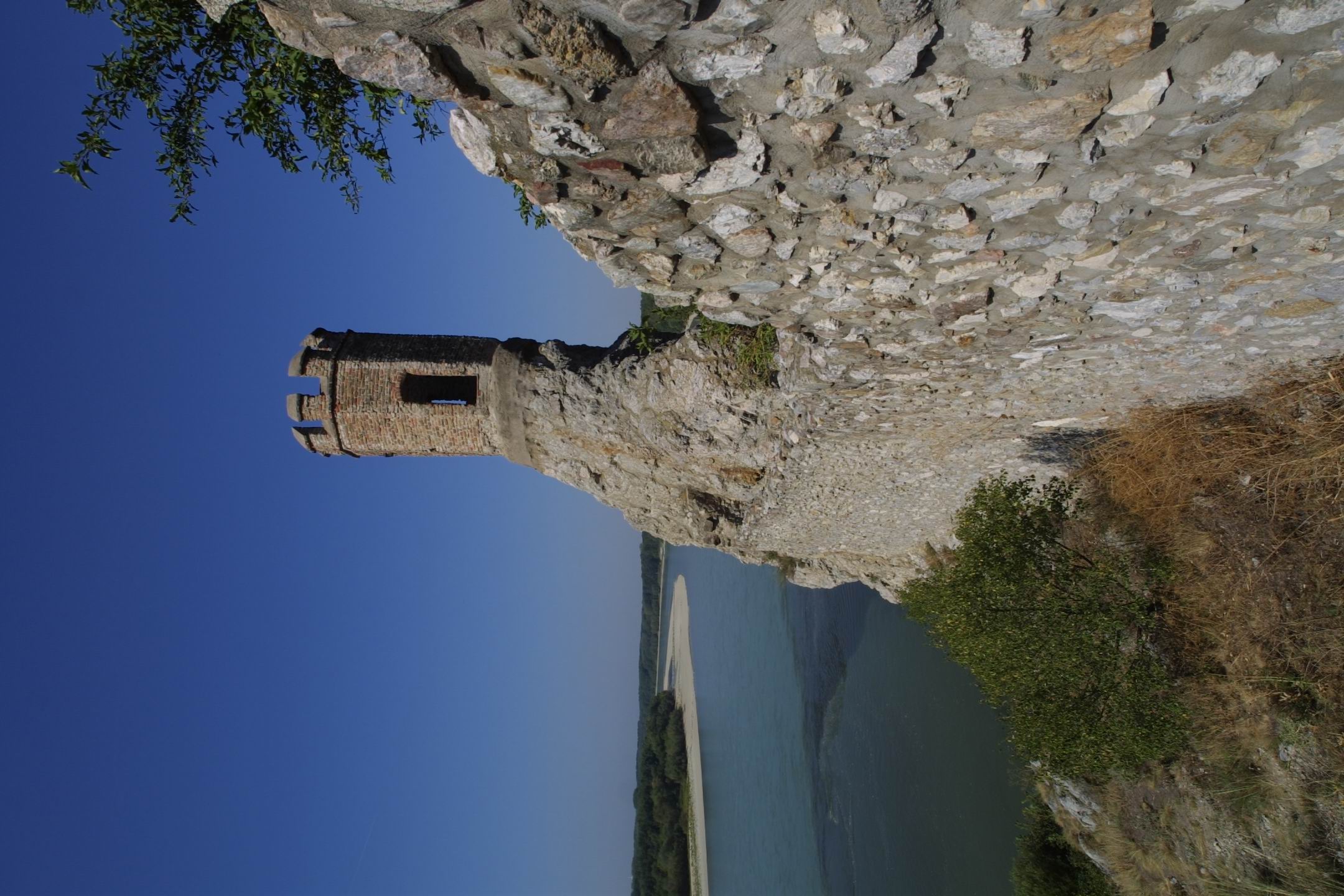 CRW_2363