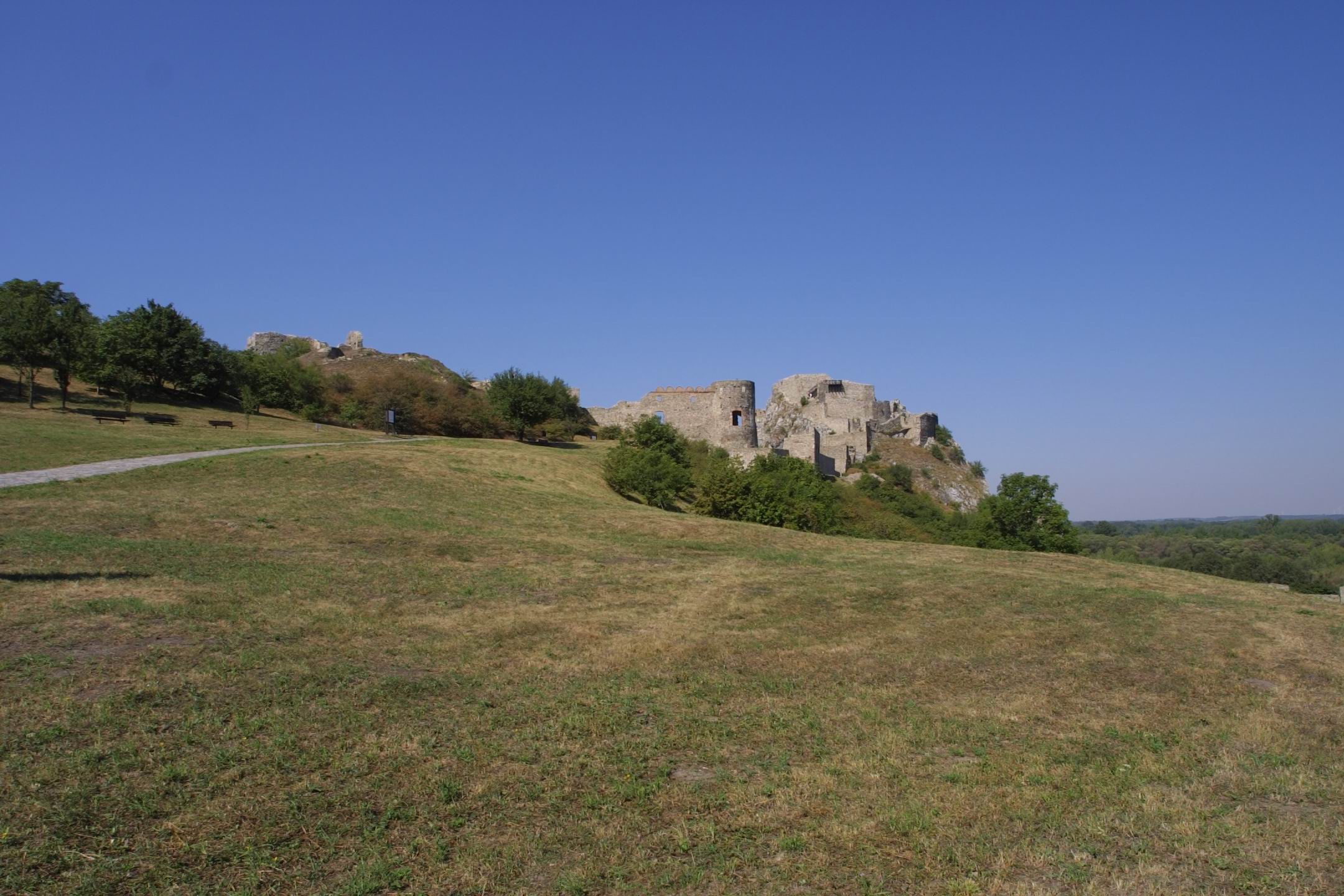 CRW_2386