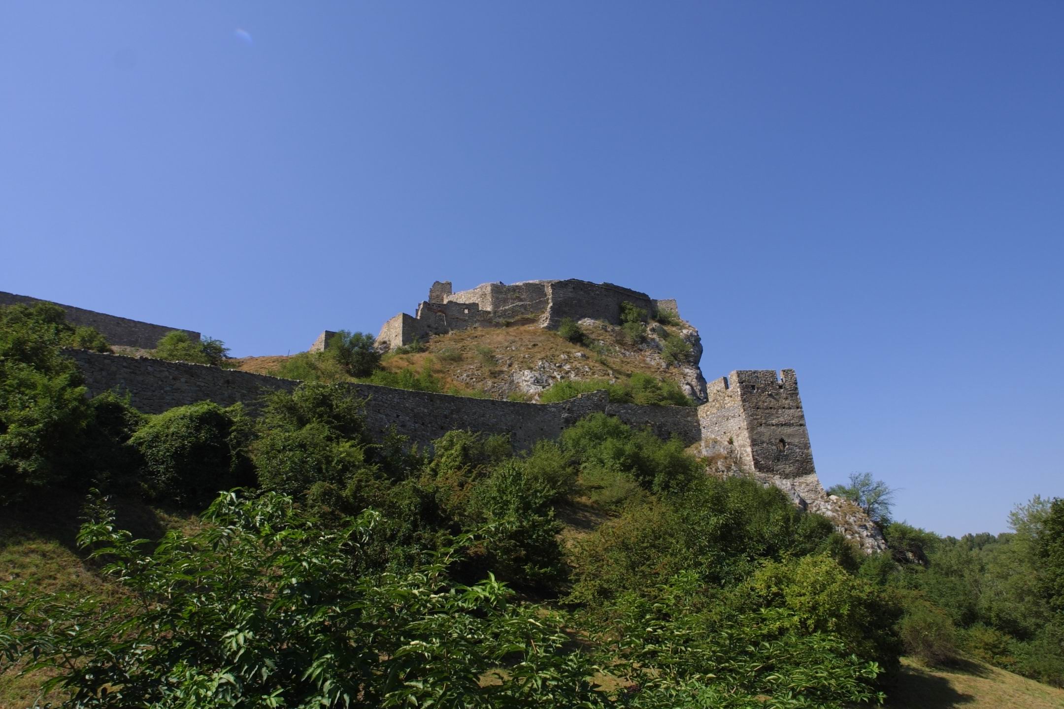 CRW_2463