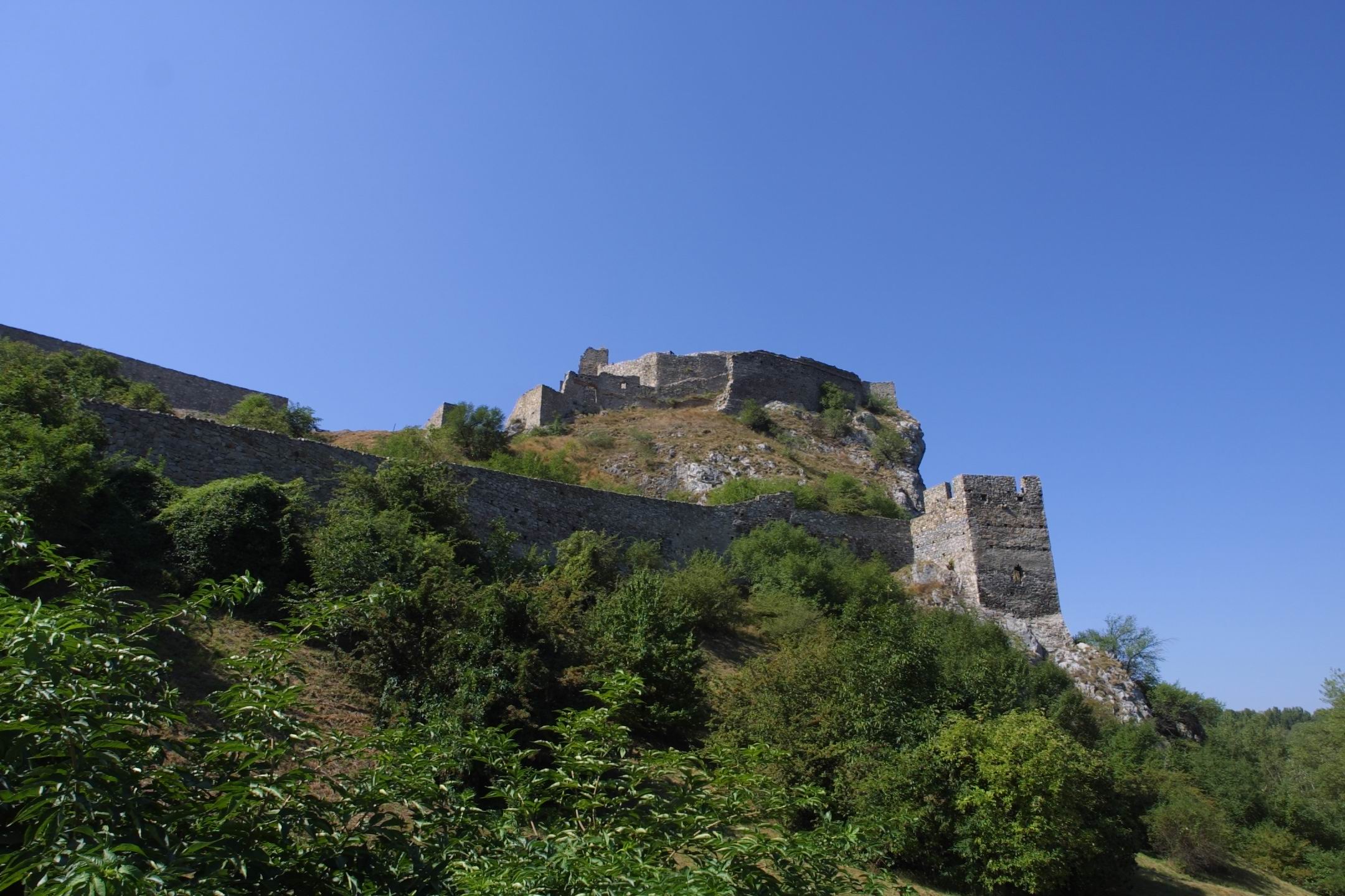 CRW_2466