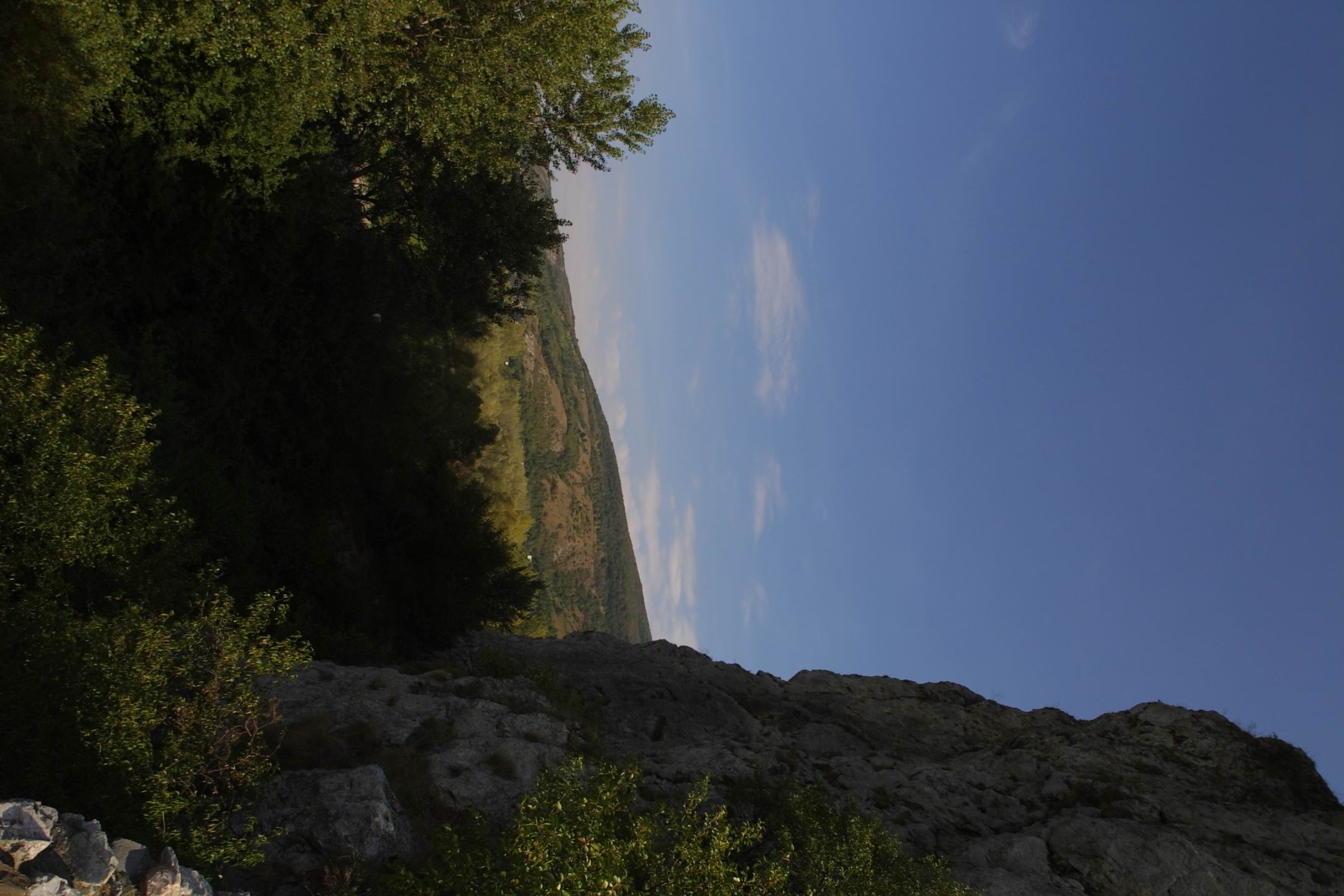 CRW_3590