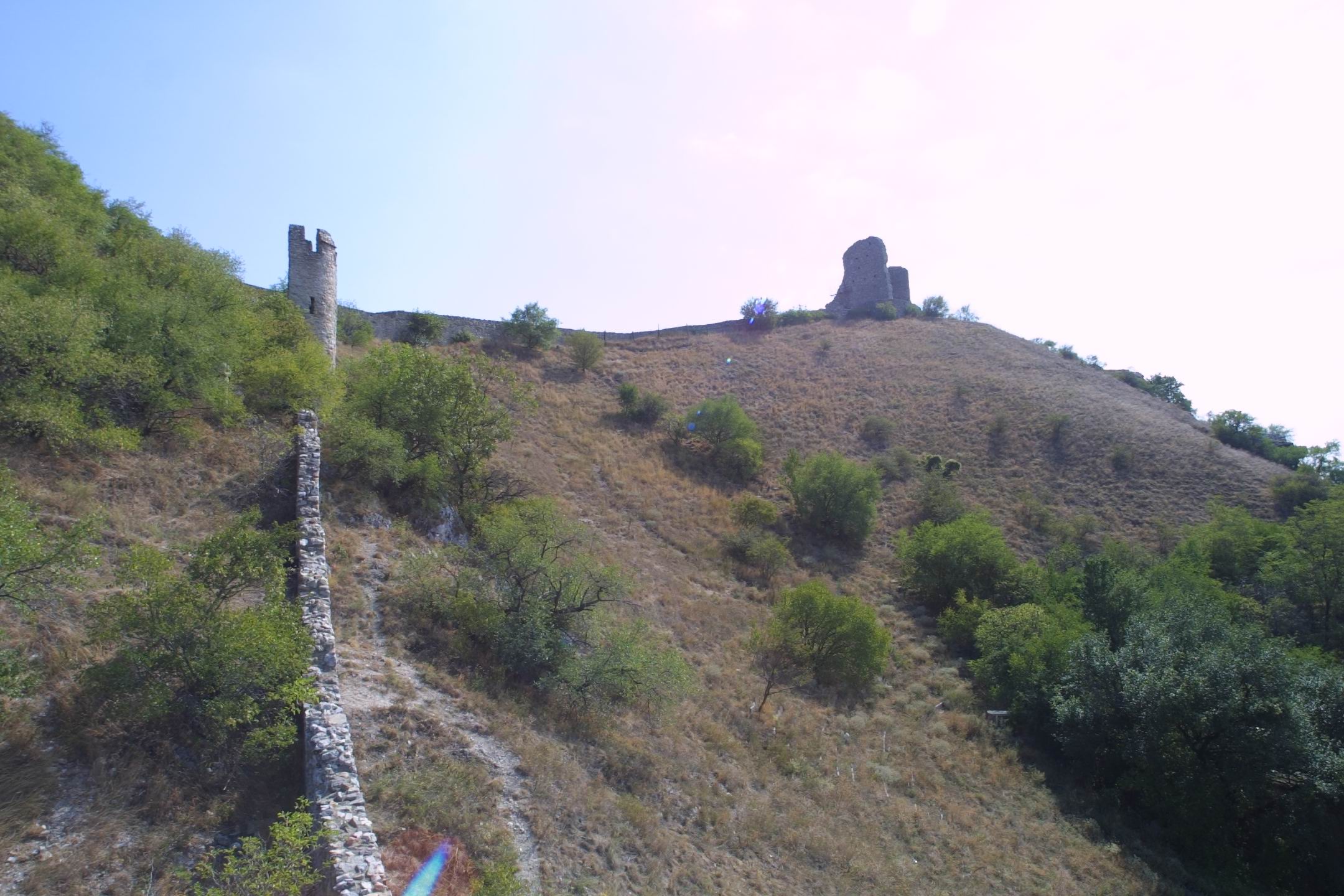 CRW_3593
