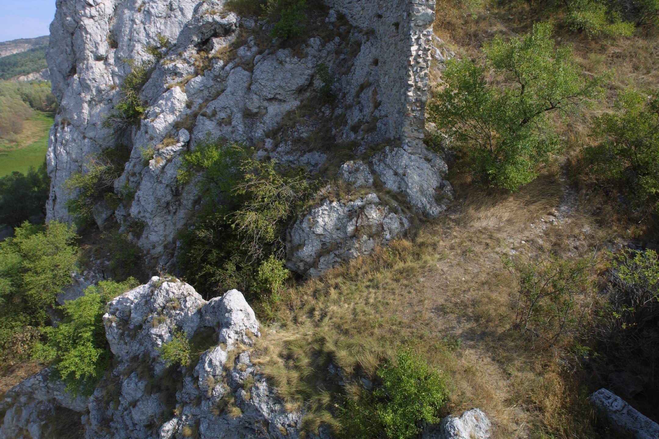 CRW_3610