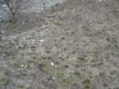 Photo Number 8