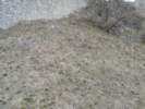 Photo Number 9