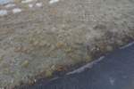 Photo Number 4