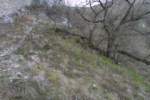 Photo Number 13