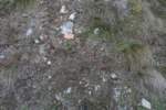 Photo Number 2