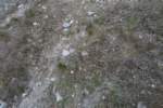 Photo Number 3