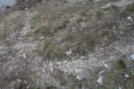 Photo Number 4