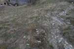 Photo Number 5
