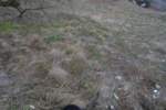 Photo Number 6