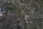Photo Number 7