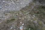 Photo Number 8