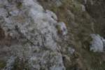 Photo Number 6