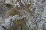 Photo Number 7