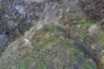 Photo Number 2