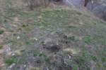 Photo Number 4