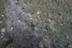 Photo Number 5