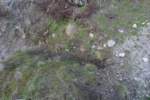Photo Number 6