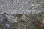 Photo Number 7