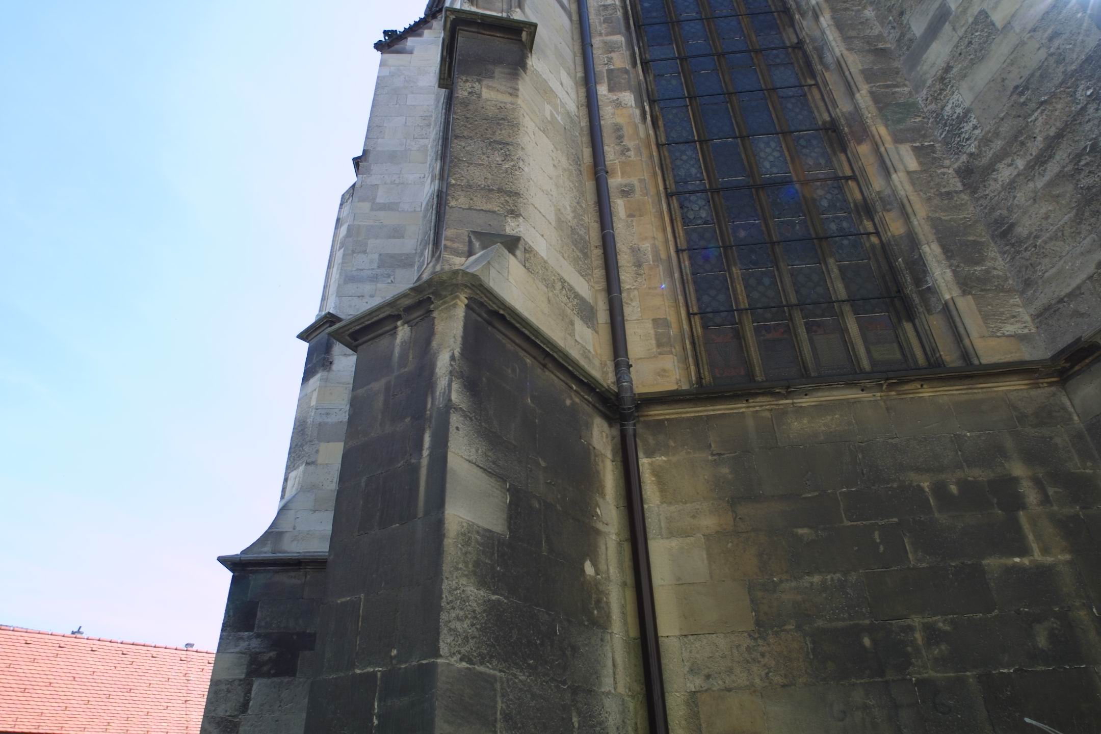 CRW_7865