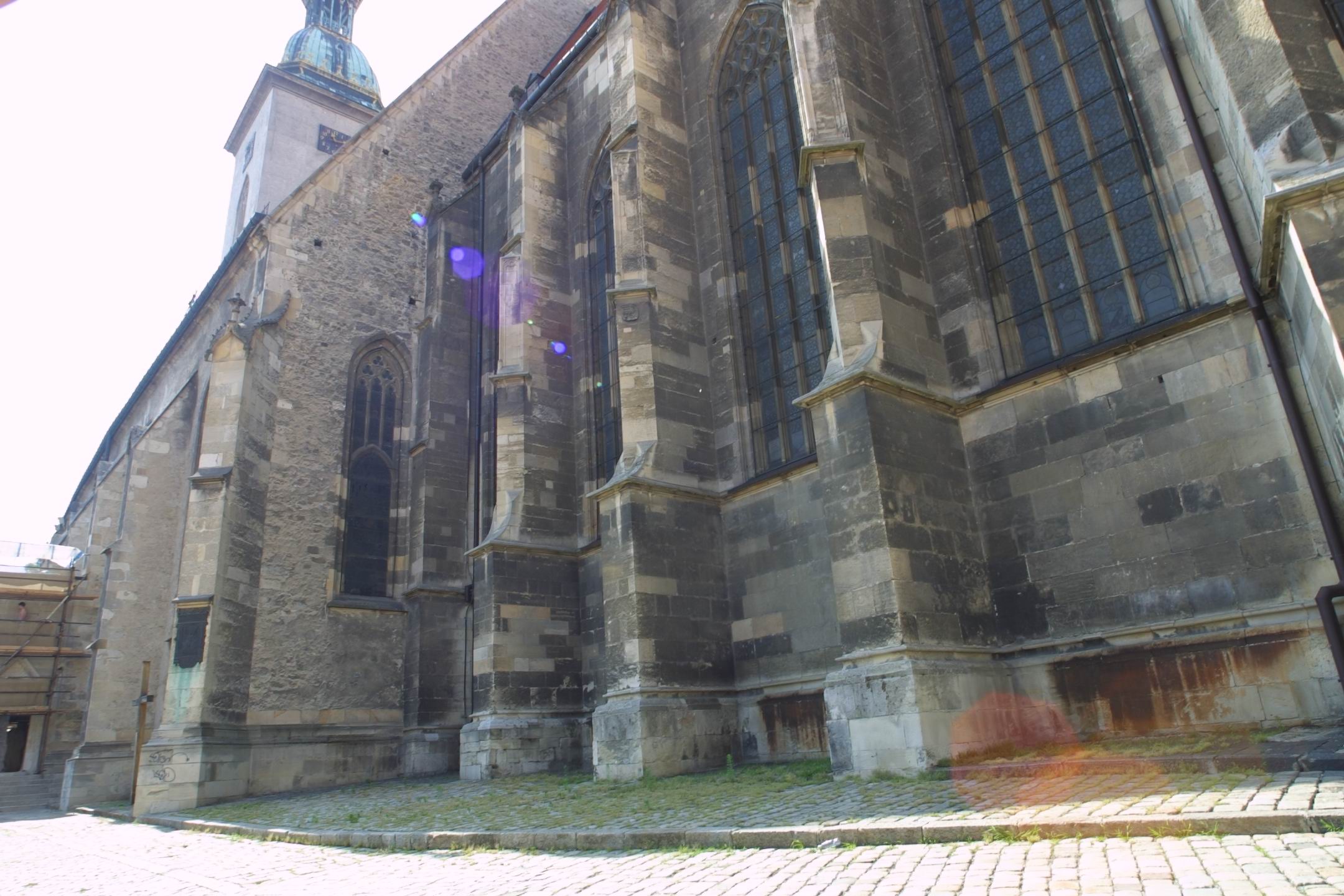CRW_7884
