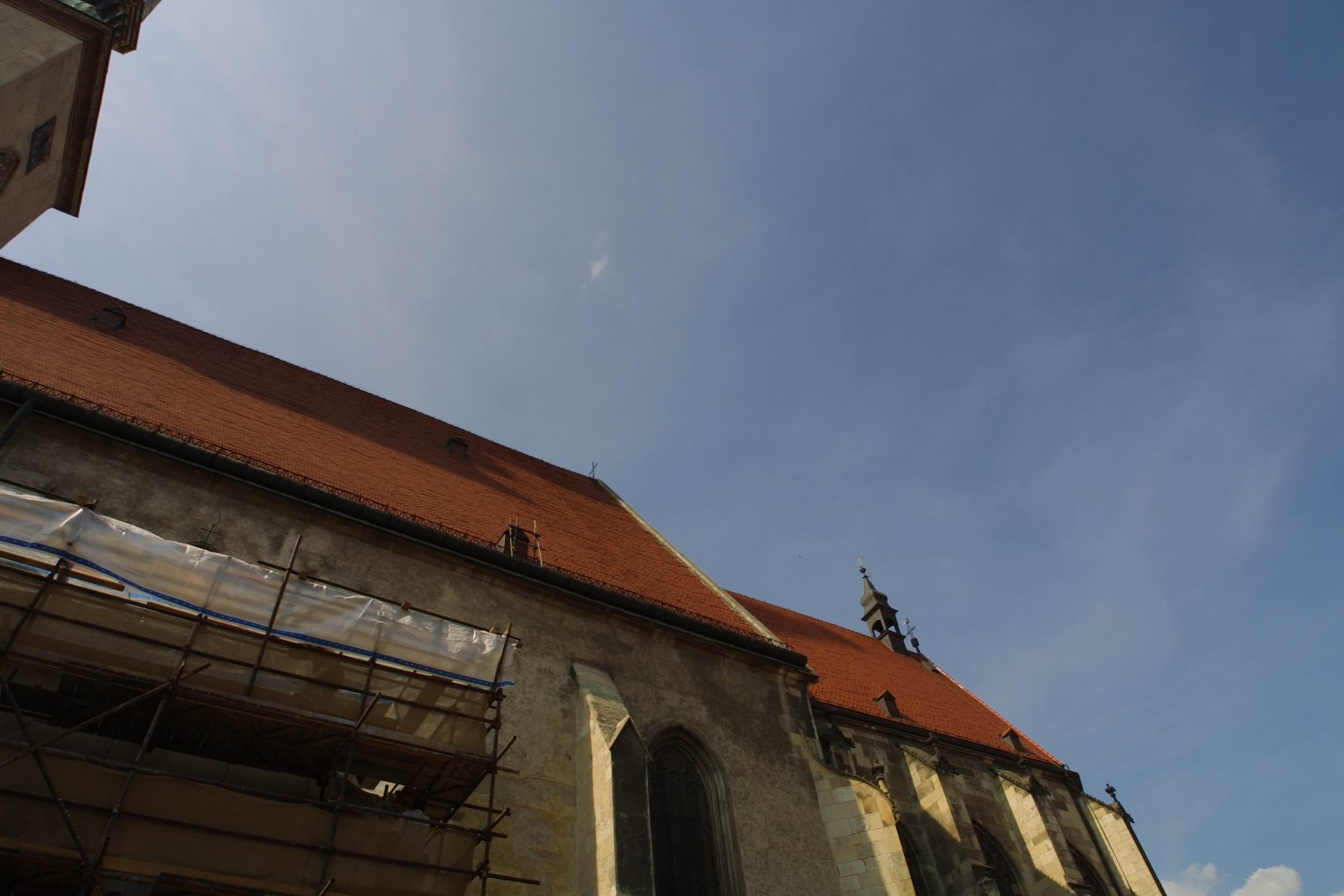 CRW_7905