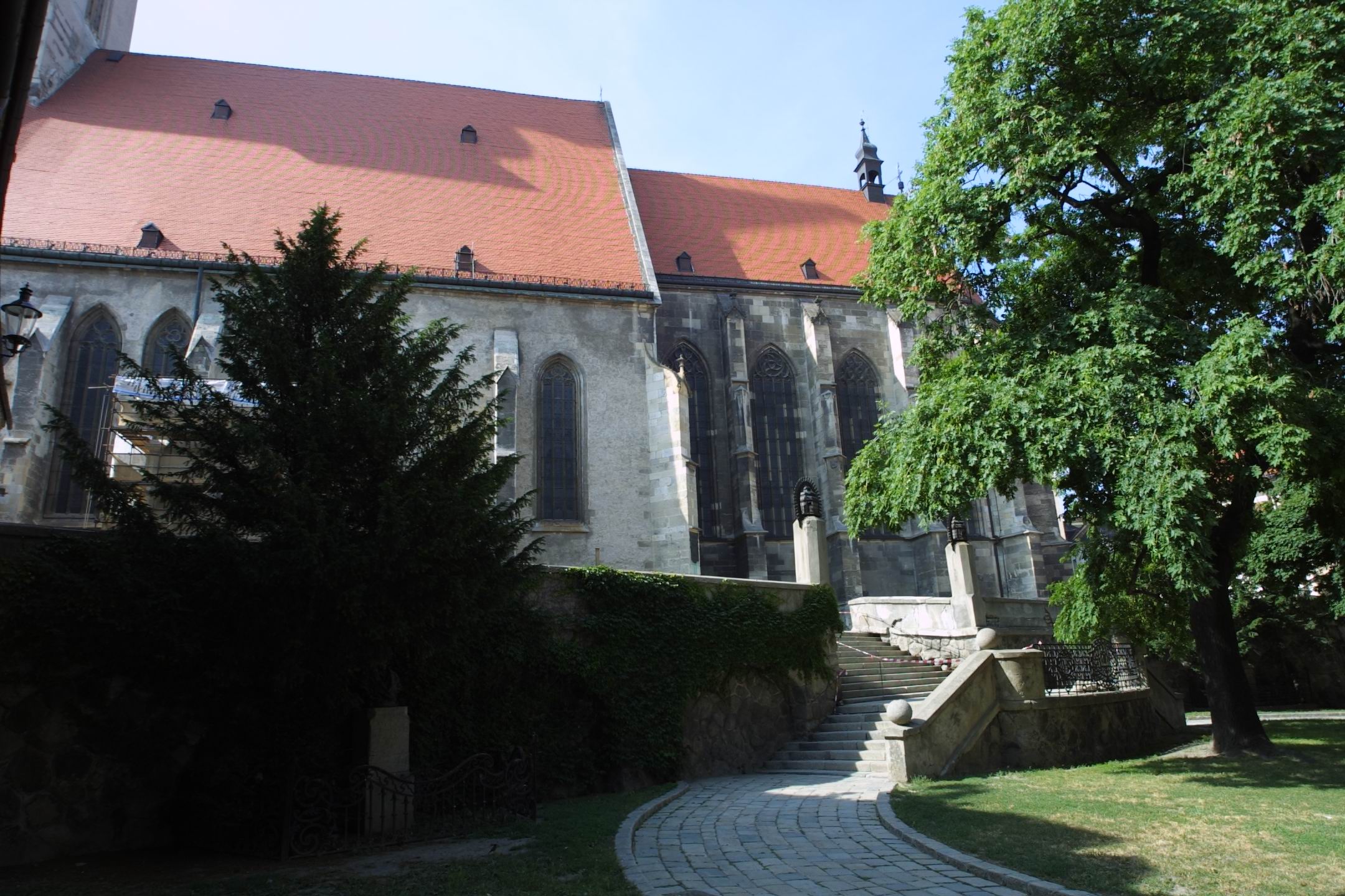 CRW_7915