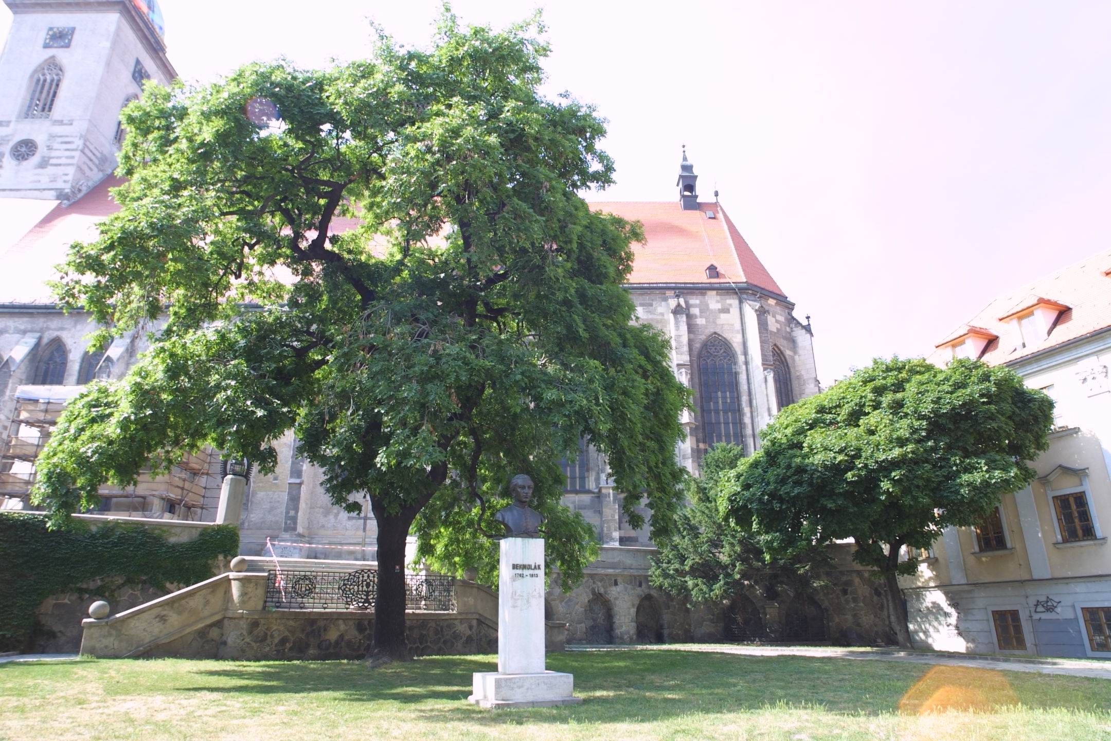 CRW_7923