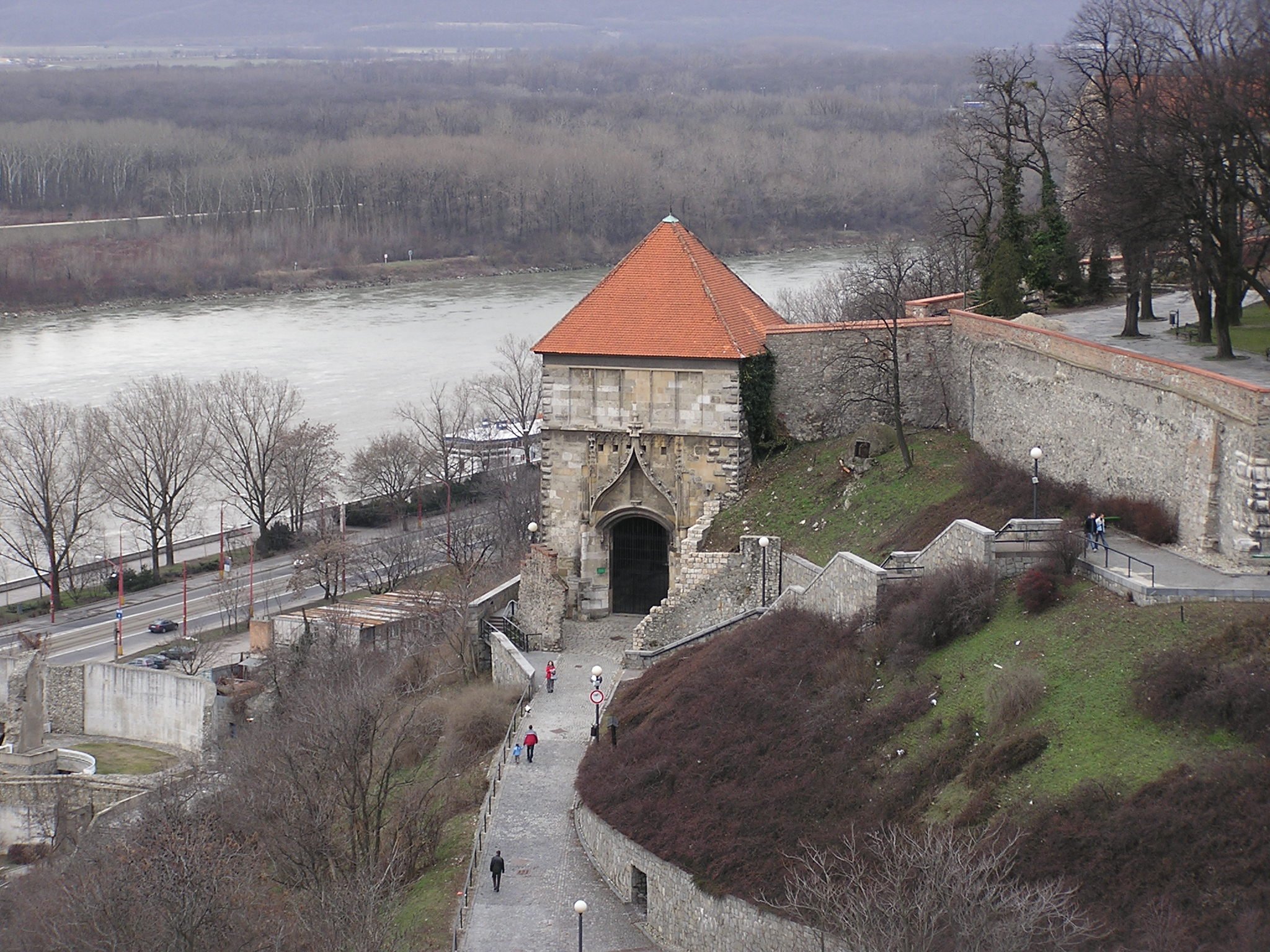 Photograph