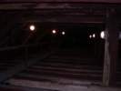 Photo Number 10