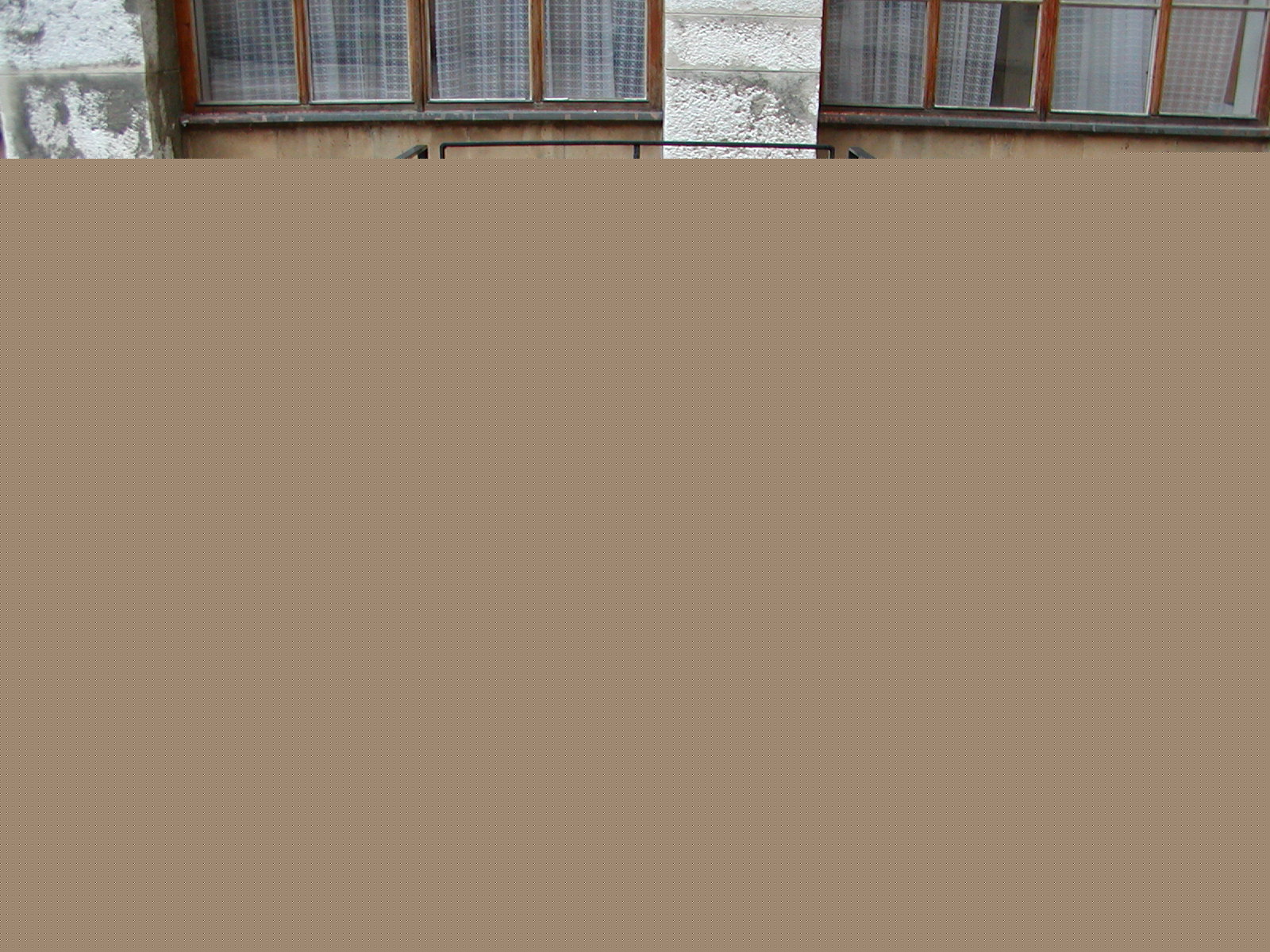PA050002