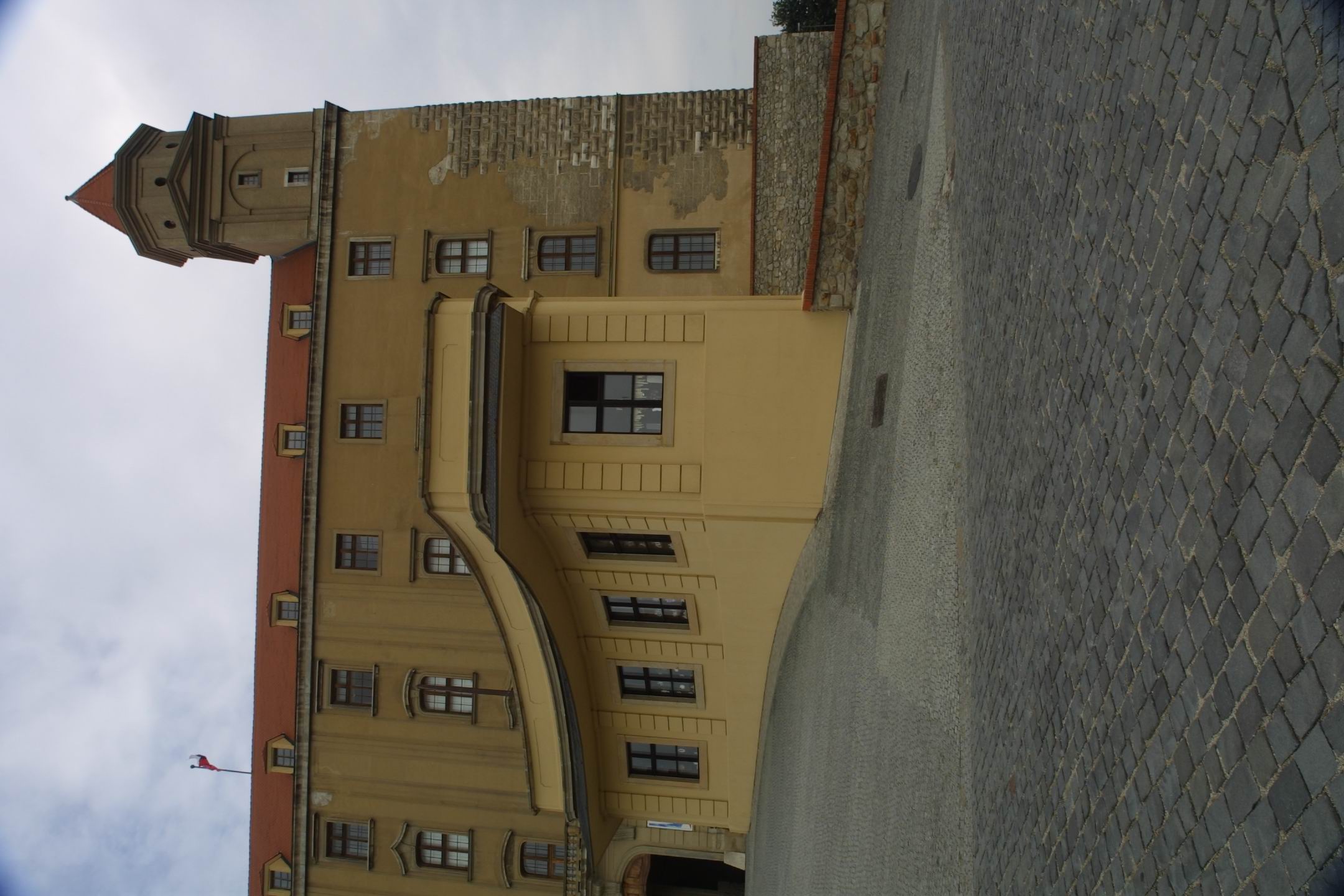 CRW_7388