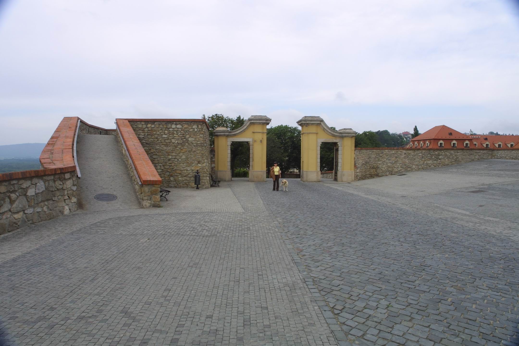 CRW_7410