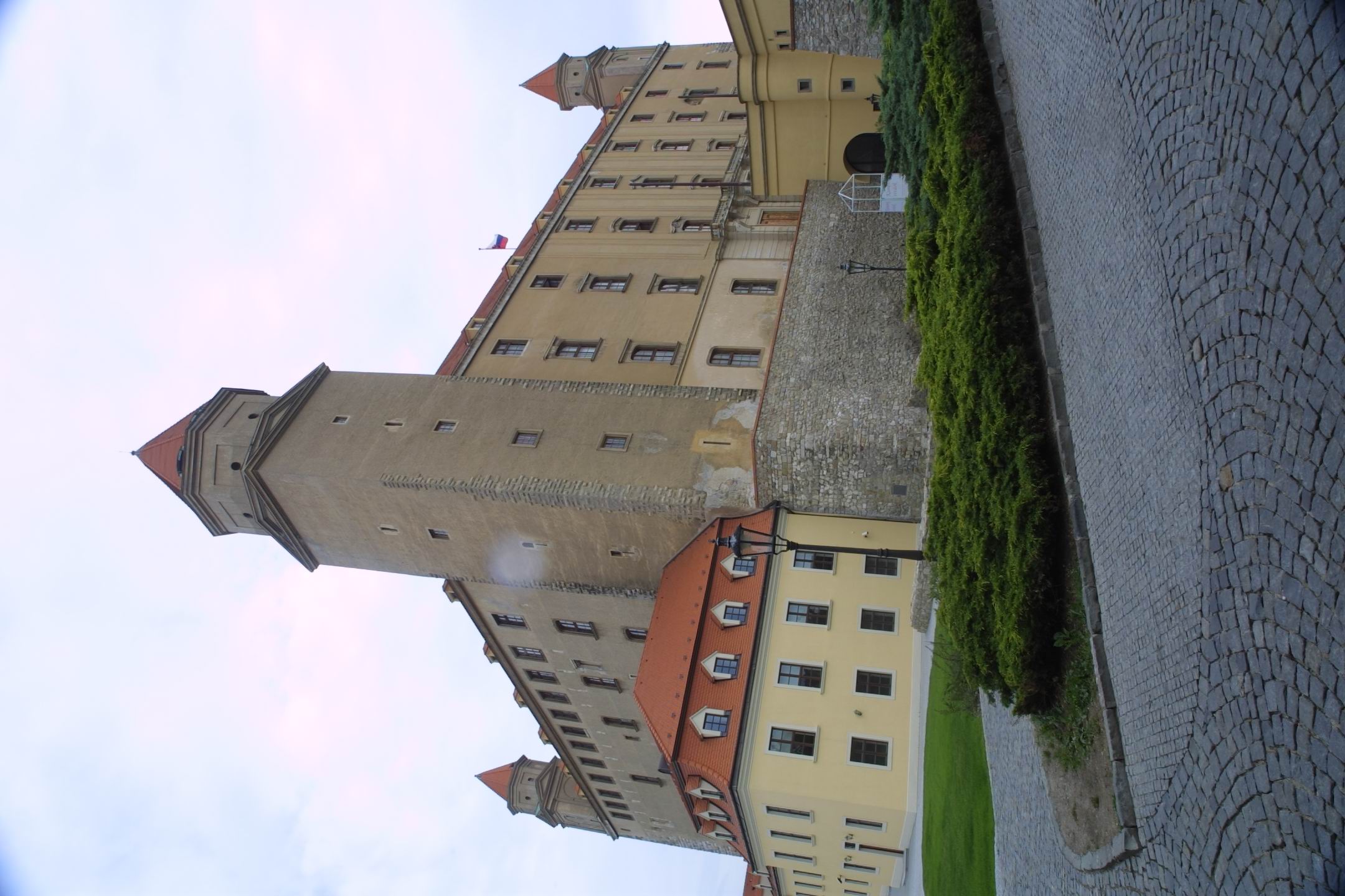 CRW_7449
