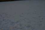 Photo Number 10