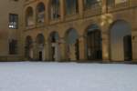 Photo Number 13